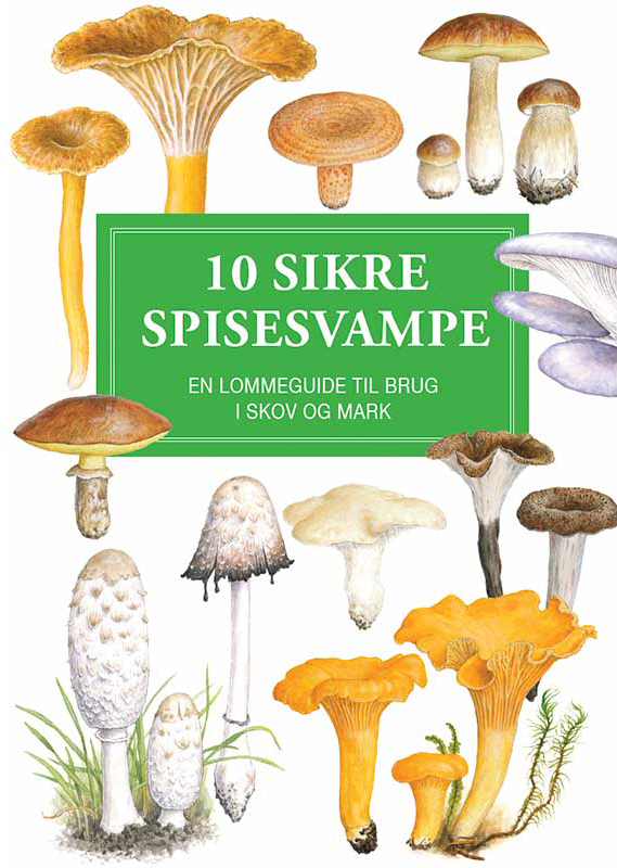 10 sikre spisesvampe - Martin Hansen