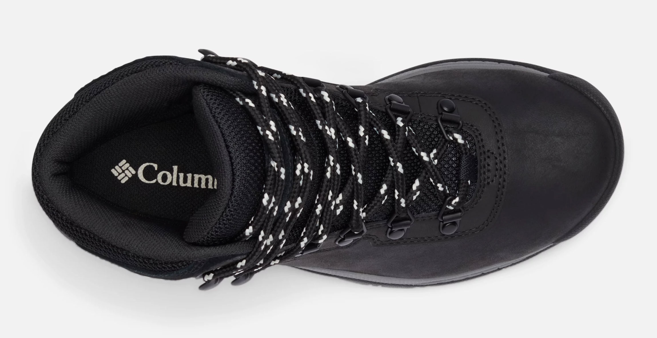 Newton Ridge Plus W - Black/Chalk
