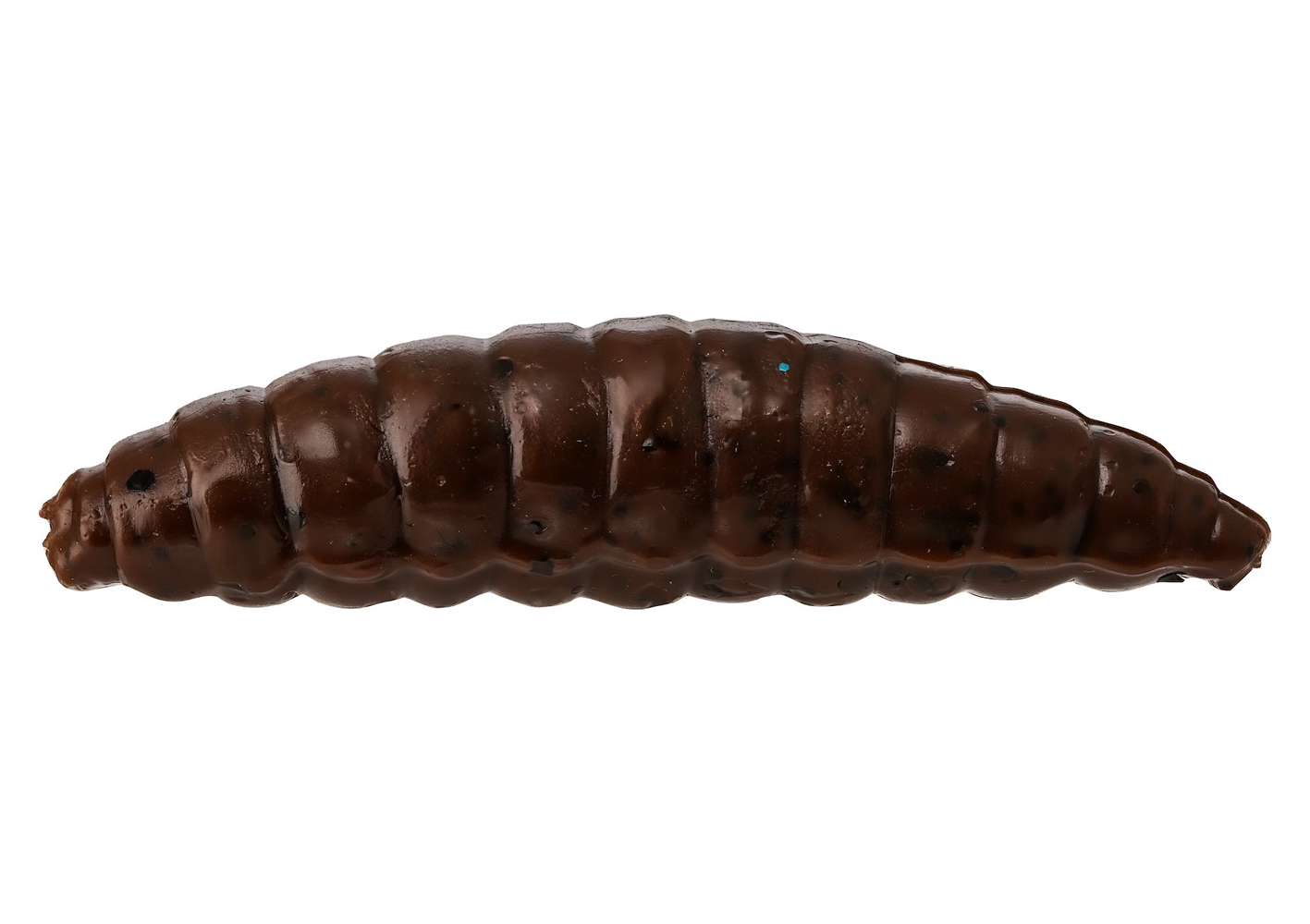 Maggot – Garlic/Cheese