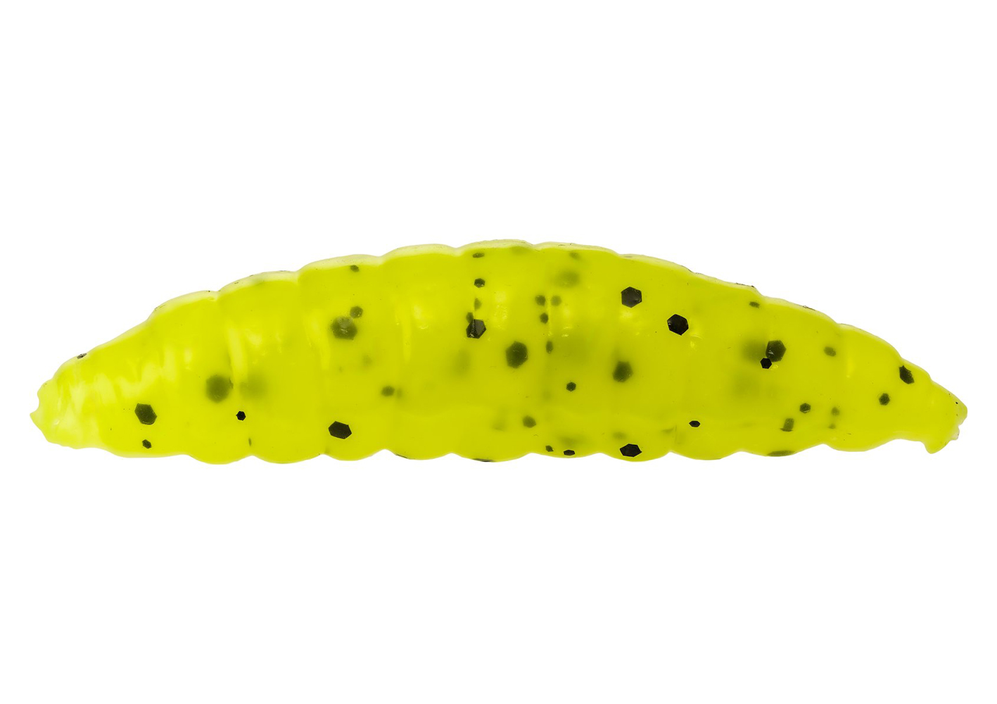 Maggot – Garlic/Cheese