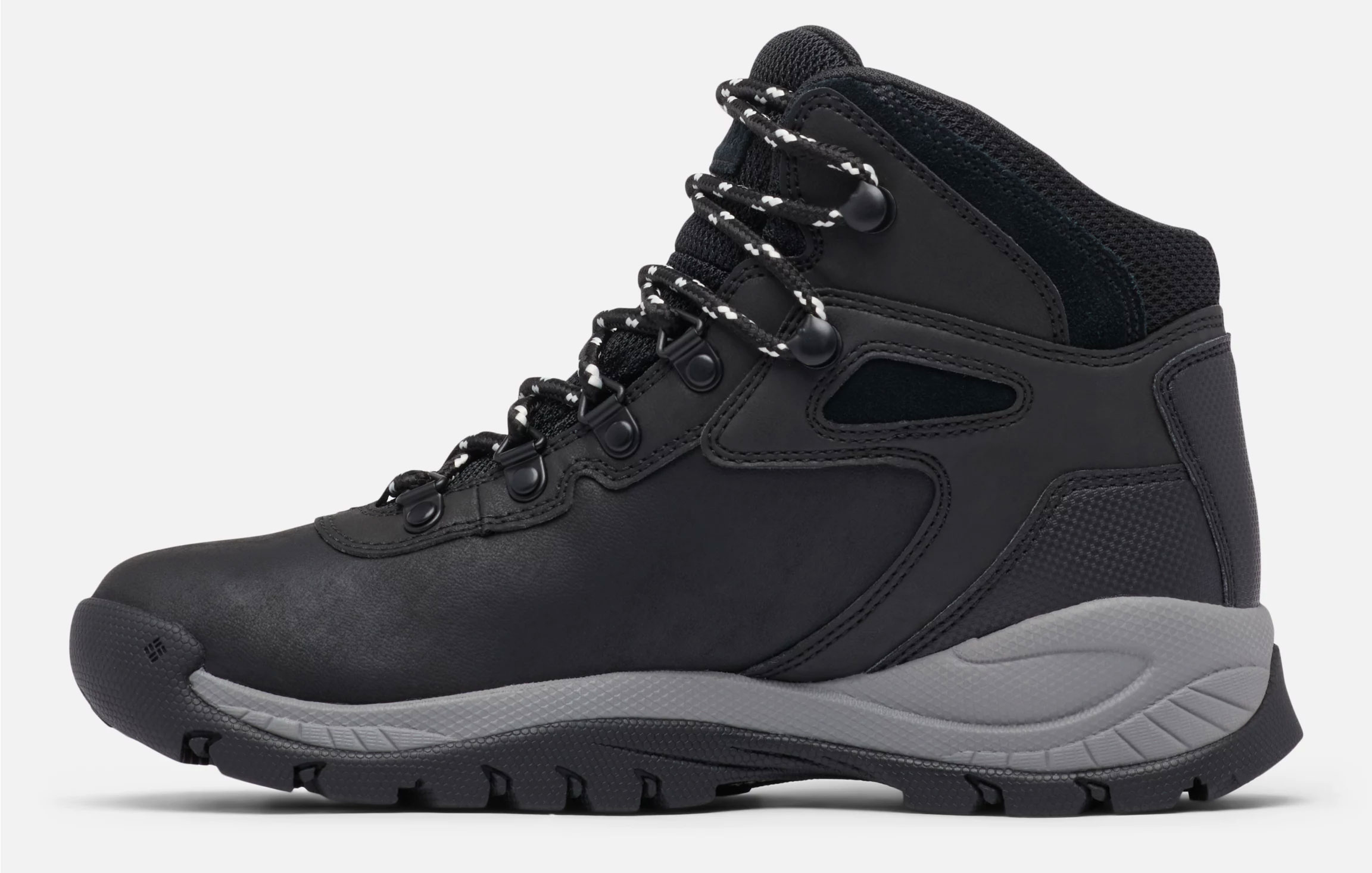 Newton Ridge Plus W - Black/Chalk
