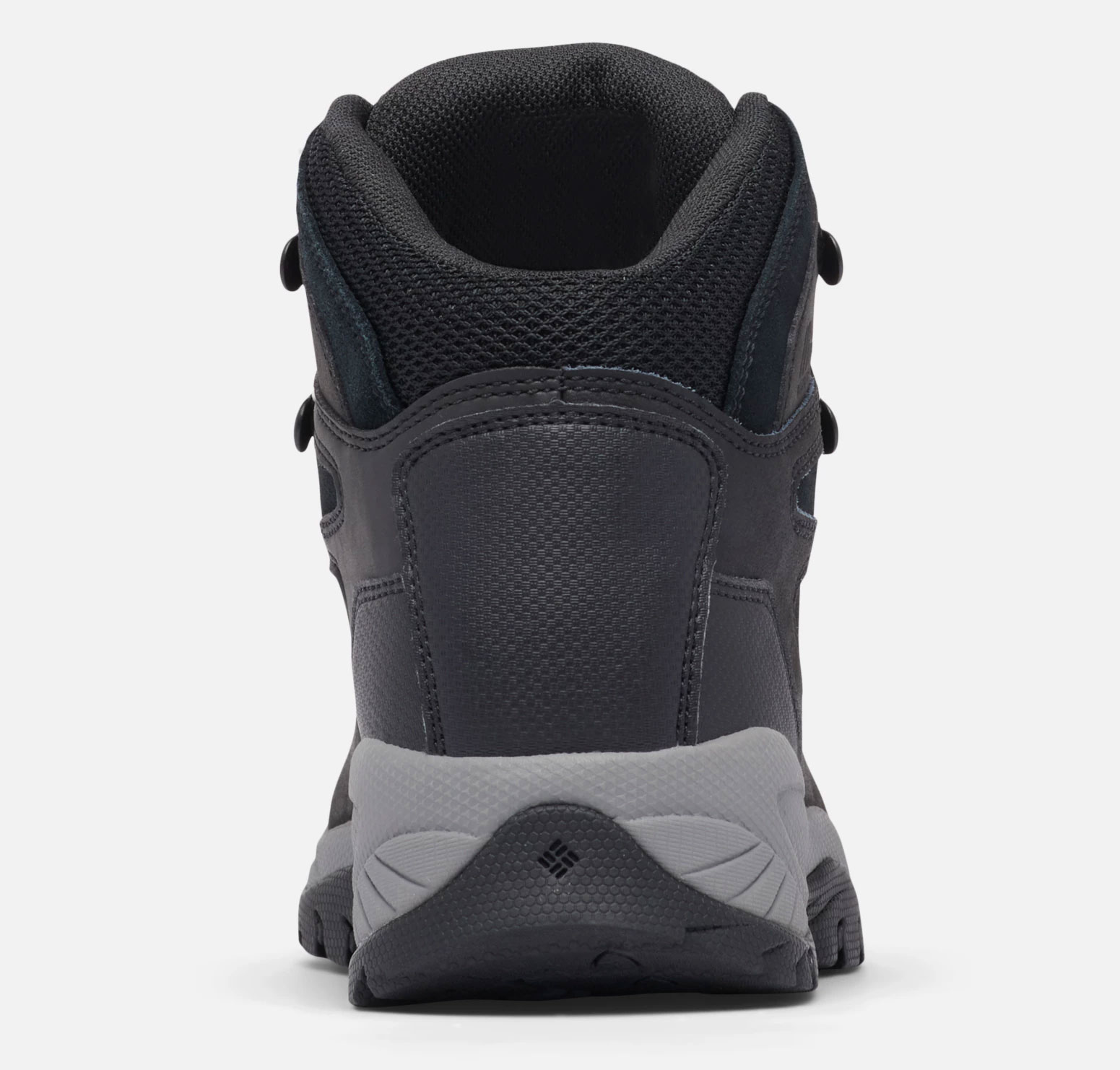 Newton Ridge Plus W - Black/Chalk