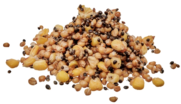 Ready Seeds Spod Mix - 1 kg.