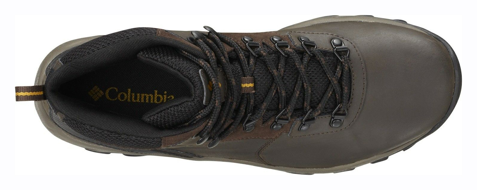 Newton Ridge Plus II - Cordovan / Squash