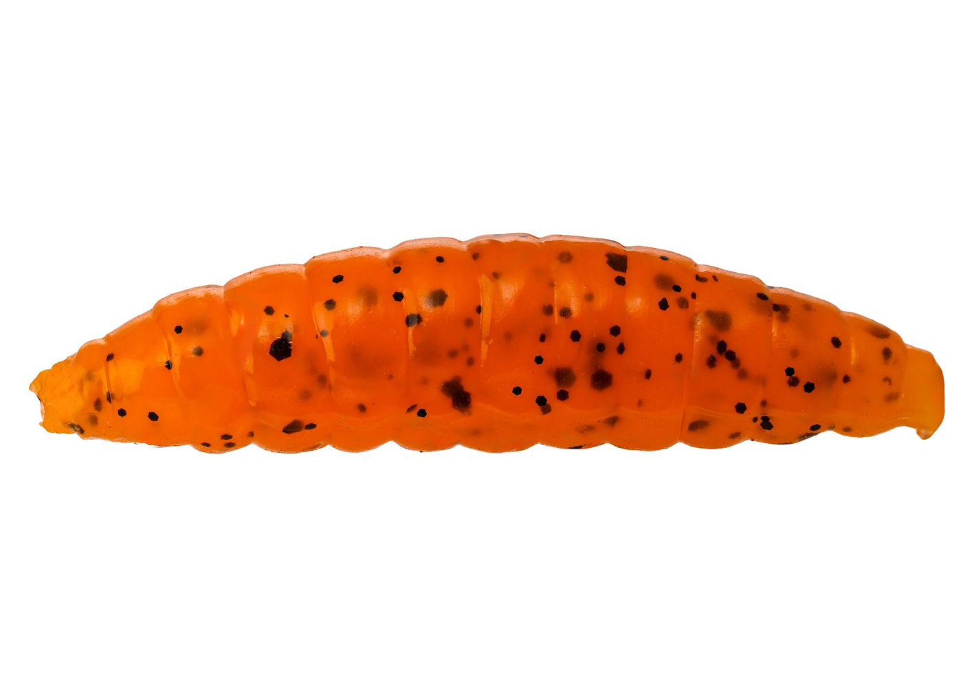 Maggot – Garlic/Cheese